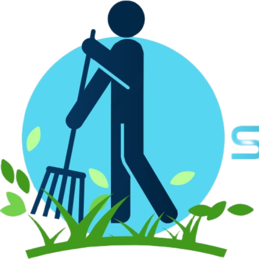 Segeam S.A.S – Proyectos de Servicios Innovadores